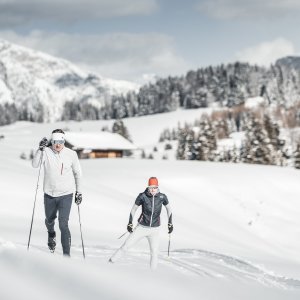 Winter Highlight