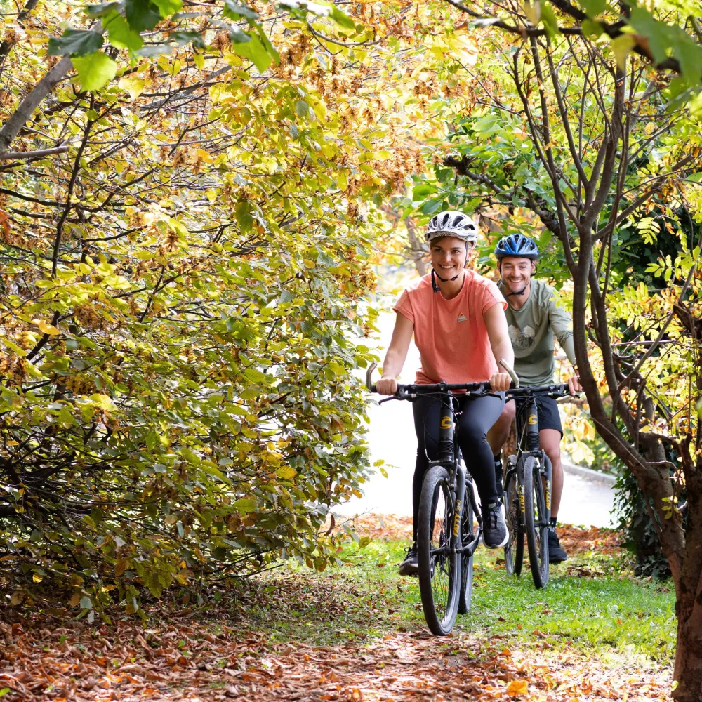 Radtour durch den herbstlichen Wald rund um das Alpenflora in Kastelruth
