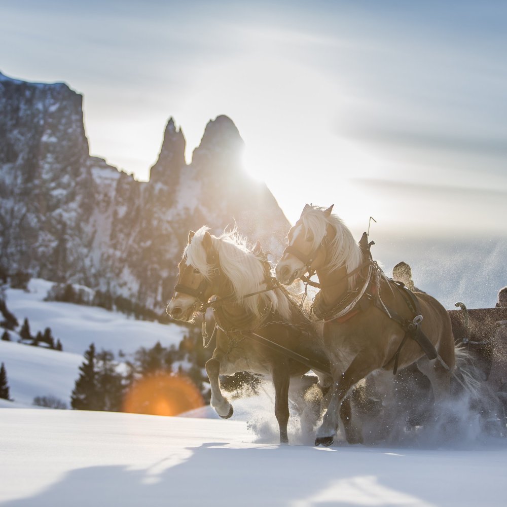 Zeit für mehr als Urlaub, im Wellnesshotel Alpenflora****