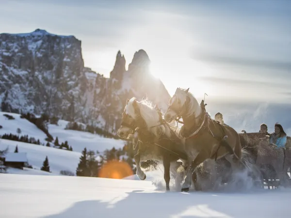 Wellnesshotel Alpenflora, Kastelruth, Seiser Alm, Dolomiten - Erlebnisse