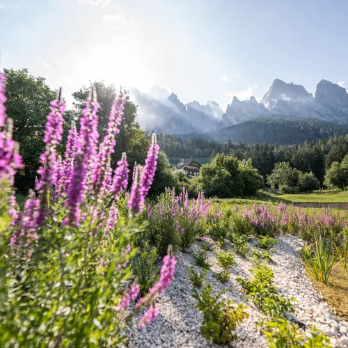 Wellness Hotel Alpenflora, Dolomites, Castelrotto, South Tyrol - Experiences