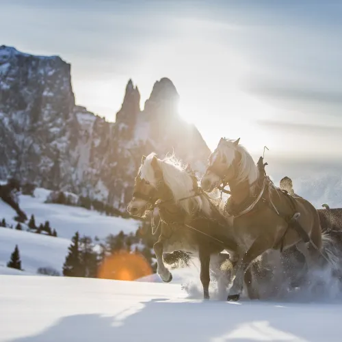 Wellnesshotel Alpenflora, Dolomiti, Castelrotto, Alto Adige Suditirolo - Impressioni